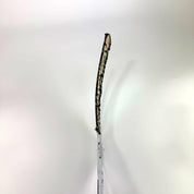 Used Regular White/Black Bauer GSX Goalie Stick | 25" Paddle P31 Curve | F297