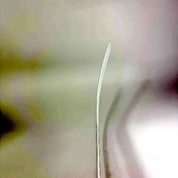 New Regular White/Navy Warrior Ritual V4 Goalie Stick | 24" Paddle W31 Curve | R298