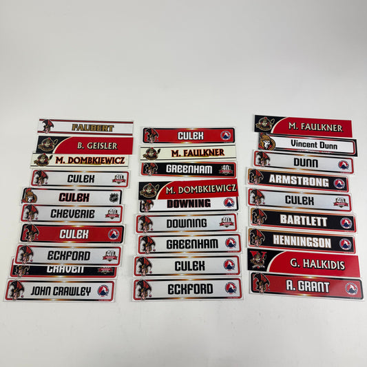 Binghamton Senators Locker Room Nameplates (Group#6)