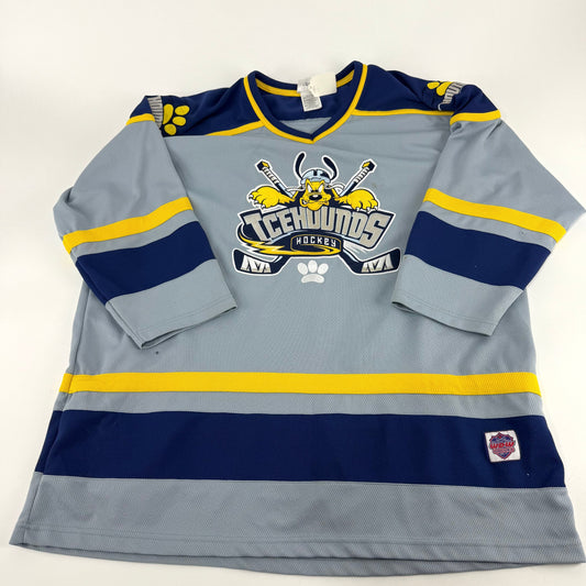 Used Grey Disney Icehounds Game Jersey | Adult XXL | U179